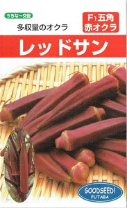 t^oc ܊pԃIN bhT̃^l[eʁF10ml]