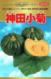 _c_ J{` _cẽ^l(񂾂)[eʁF15]