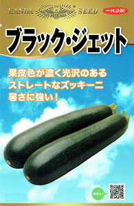 _c_ YbL[j ubNEWFbg̃^l[eʁF5]