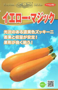 _c_ YbL[j CG[E}WbÑ^l[eʁF10]