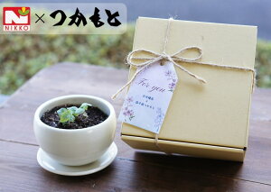 n[uƉvqč͔|Zbgun[uƍfցiʂ䂤jv