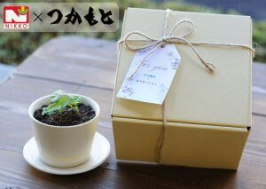 n[uƉvqč͔|Zbgun[uSENv