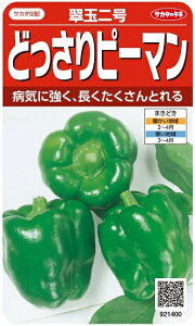 TJ^̃^l@ǂs[}@ʓ񍆁@0.8mlyXΉz