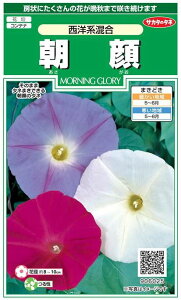 TJ^̃^l@@mn@1mlyXΉz