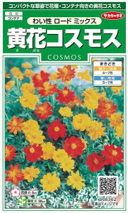 TJ^̃^l@ԃRXX@킢 [h~bNX@3mlyXΉz