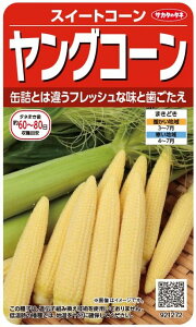 �T�J�^�̃^�l�@�g�E�����R�V�@�����O�R�[���@35ml�y�X���Ή��z