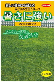 サカタのタネ　暑さに強い西洋芝のタネ　10g【郵送対応】