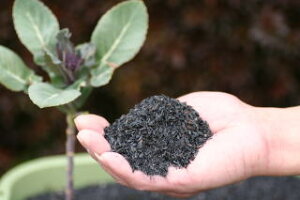 �u���݂��炭��Y�v�i���~�K�����񂽂�E���~�K���N���^���E���݊k���Y�j ��100���b�g�����y���������z