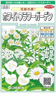 TJ^̃^l@zCgt[K[fEԊG̋ yXΉz