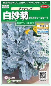 TJ^̃^l@ei_XeB[~[jE_Ch yXΉz