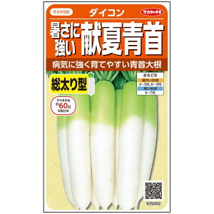 TJ^̃^l _CR ɋ Đ 5.5mlyXΉz