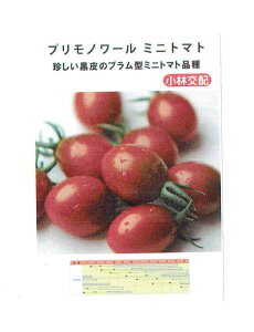 ���ю�c �~�j�g�}�g �v�����m���[���̃^�l[���e�ʁF��7��]