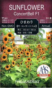 ԉc q} F1RT[gx̃^l[eʁF1ml]