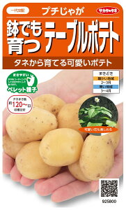 TJ^̃^l WKC e[u|eg@v`Ⴊ̃^l[eʁF5]