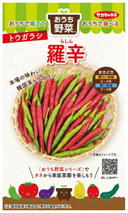 TJ^̃^l gEKV h̃^l(炵)[eʁF12]