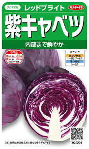 TJ^̃^l Lxc bhuCg̃^l[eʁF0.8ml]