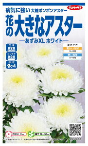 TJ^̃^l AX^[ XLzCg̃^l[eʁF100]