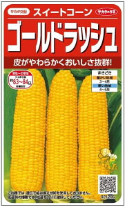 TJ^̃^l gERV S[hbṼ^l[eʁF23ml]
