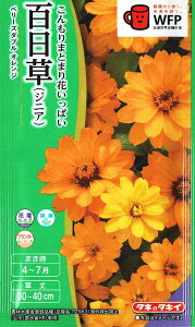 �^�L�C��c �S���� �x���[�Y�_�u���@�I�����W�̃^�l[���e�ʁF��30��]