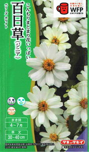 ^LCc S x[Y@zCg̃^l[eʁF40]