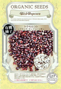 �y�L�@��q�z�g�E�����R�V �u���b�N�^�|�b�v�R�[���p�̃^�l[���e�ʁF��30��]