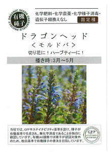 yL@qzhSwbhihoj̃^l[eʁF0.3g]