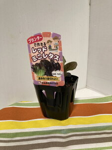 ^X̕c@v^[łubh~j^Xv9cm|bgy̔ԁFt3{`4{^H8{`9{z