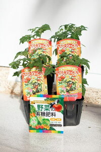 h[tg}gc uveB[x 4{Zbg(엿t)v9cm|bg