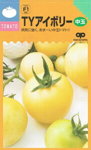 ̎ ʃg}g TY~fBAC{[̃^l[eʁF12]