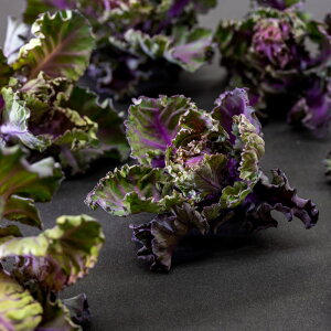 ic P[×Lxc uP[bcṽ^l[eʁF100]y񂹏iz