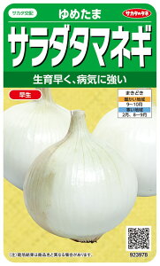 TJ^̃^l T_^}lM ߂܂̃^l[eʁF2ml]