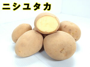 yWKCE킢zujV^Jv̎킶Ⴊ@500gyHWKCp7{`8{z