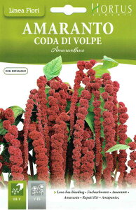 HORTUSiC^Aj A}TX qQCgẼ^l[eʁF3g]