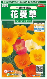 TJ^̃^l@ԕH@d炫 0.5mli͂ȂтAnirV\EAJtHjA|s[jyXΉz