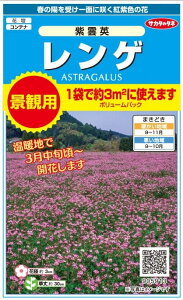 TJ^̃^l@Q@_p@iϗp{[pbN@12gi3ĕjiQ\EA@ؑAQqA񂰎qjyXΉz