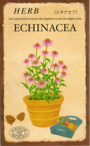 種 エキナセア 苗の人気商品 通販 価格比較 価格 Com