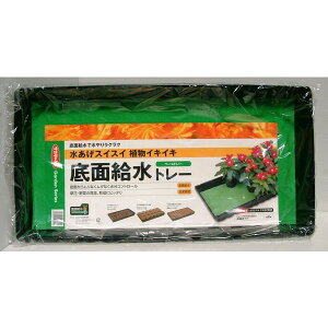 XCXCACLCLux[Xg[@2iʋg[jv