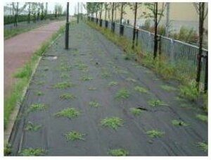 yNsAɃIXXzw\hV[g@1.1mm×2m×25miȂ^Cvj@y݁ijzyԎwszy[J[z