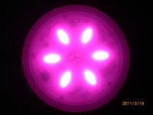 A͔|pLEDvDP-10319-01i6j