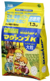クラピアにおすすめの緩効性肥料　「マグアンプK　大粒　1.3kg入】【沖縄・離島、航空便不可商品】