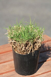 mŁueBtg419v@10|bgZbg@7.5cm|bgc