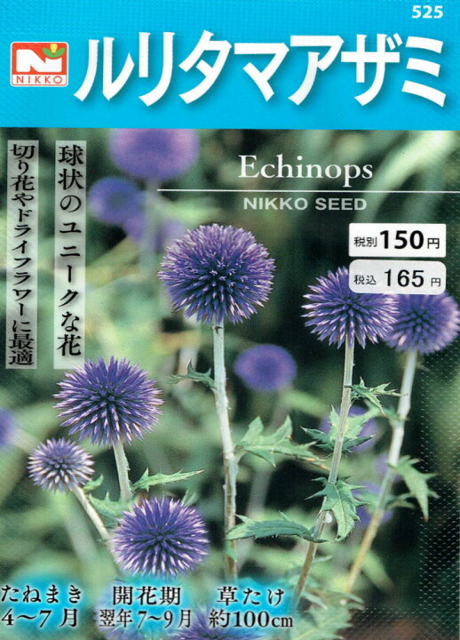 楽天市場 日光種苗 ルリタマアザミ 0 3ｍｌ 郵送対応 日光種苗