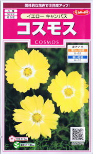 TJ^̃^l@RXXECG[ LpX yXΉz