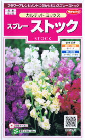 サカタのタネ　スプレー　ストック・カルテット　ミックス 【郵送対応】