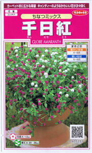 TJ^̃^l@gEȂ~bNX yXΉz