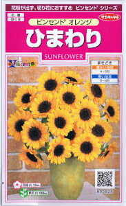 TJ^̃^l@Ђ܂ErZg IW yXΉz