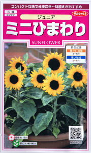 TJ^̃^l@~jЂ܂EWjA yXΉz