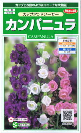 楽天市場 カンパニュラ 白の通販