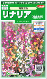 楽天市場 花 リナリアの通販