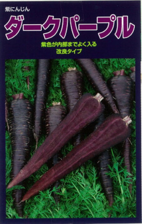 楽天市場 朝日工業 紫ニンジン ダークパープル 約0粒 郵送対応 日光種苗